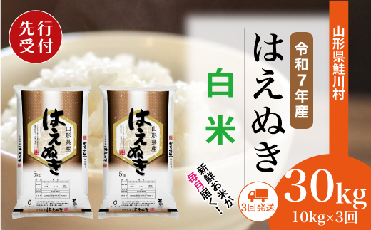＜令和7年産米先行受付＞ 山形県産 はえぬき 【白米】30kg定期便 (10kg×3回)　配送時期指定できます！
