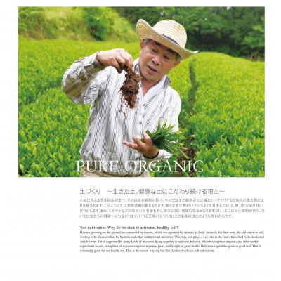 ふるさと納税 八女市 栽培期間中農薬不使用八女茶　極煎茶　初花2本 |  | 02