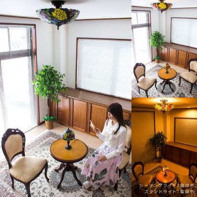 ふるさと納税 海南市 テーブルランプ ヴィトライユ パピヨンブルー AKU1011011 |  | 02