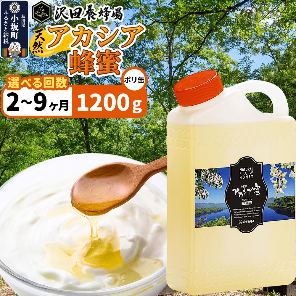 【ふるさと納税】はちみつ 天然十和田 アカシア蜂蜜 1200g ポリ缶【選べるお届け回数：2回〜9回】 [はちみつ 蜂蜜 ハチミツ アカシア 定期便 国産 朝食 沢田養蜂場]