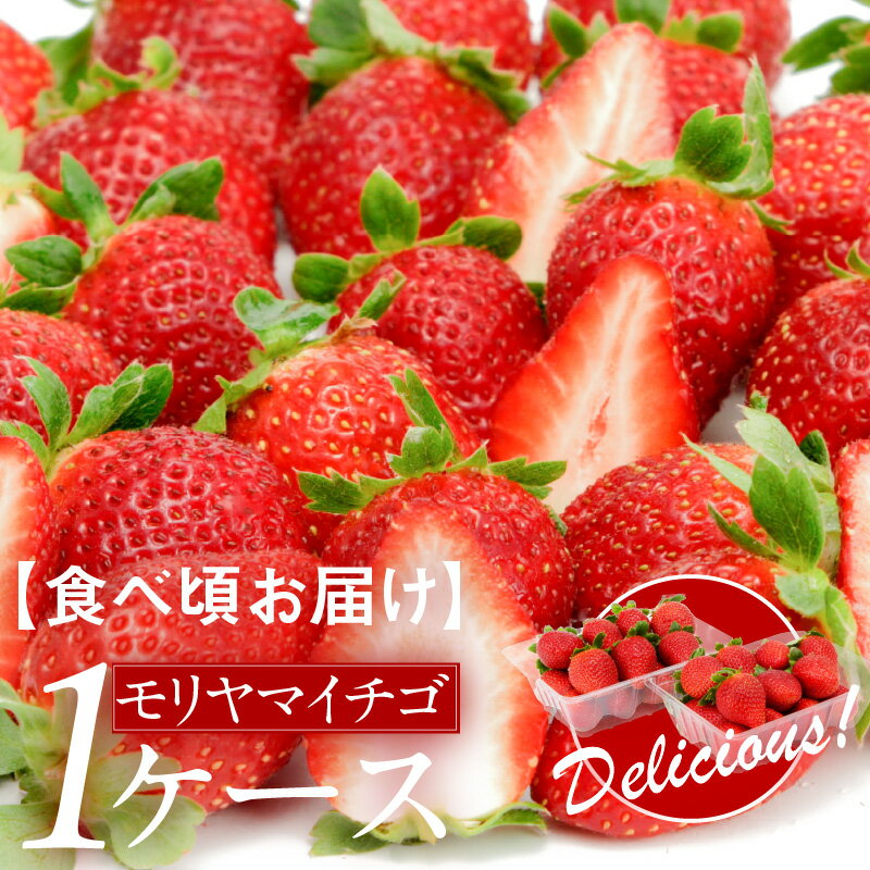 【ふるさと納税】【食べ頃お届け】先行予約受付中！モリヤマイチゴ1ケース