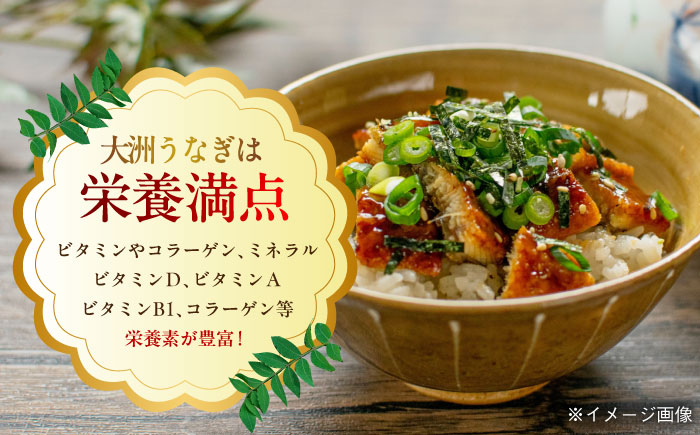 【お中元対象】国産うなぎ！ご家庭で本格料亭の味！！絶品うなぎ蒲焼き 2尾セット（2尾×1箱）　愛媛県大洲市/有限会社 樽井旅館 [AGAH001]鰻 うな重 ひつまぶし 土用の丑の日 鰻重 ウナギ う