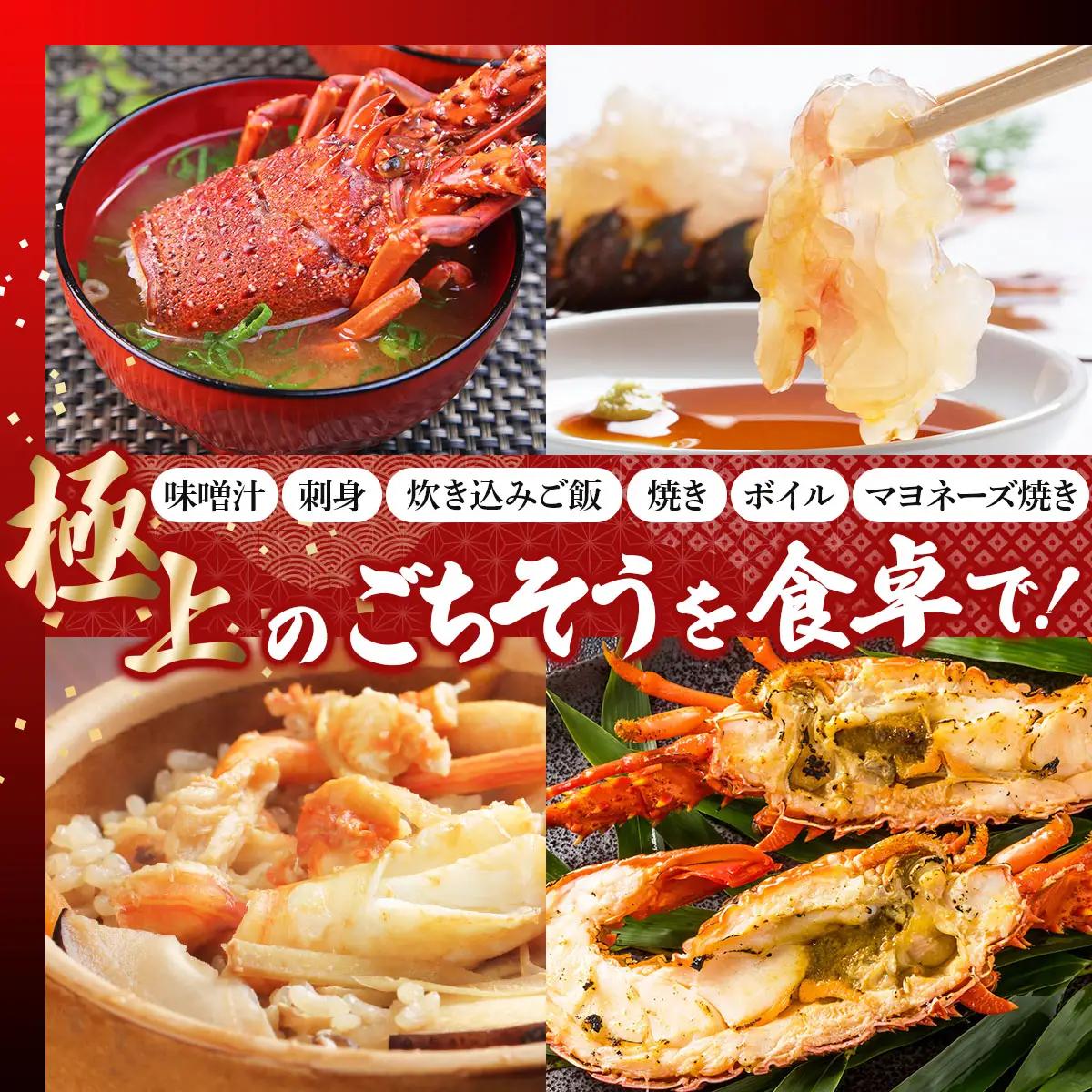 リピーター続出！伊勢海老 400～500g（1～2尾）
