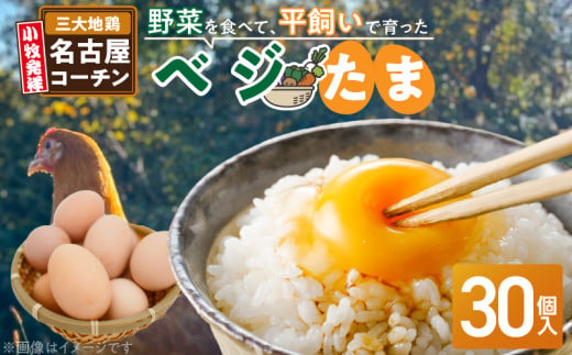 【医師監修】野菜を食べて育った平飼いの卵「名古屋コーチン ベジたま」（30個入り）［154T01］