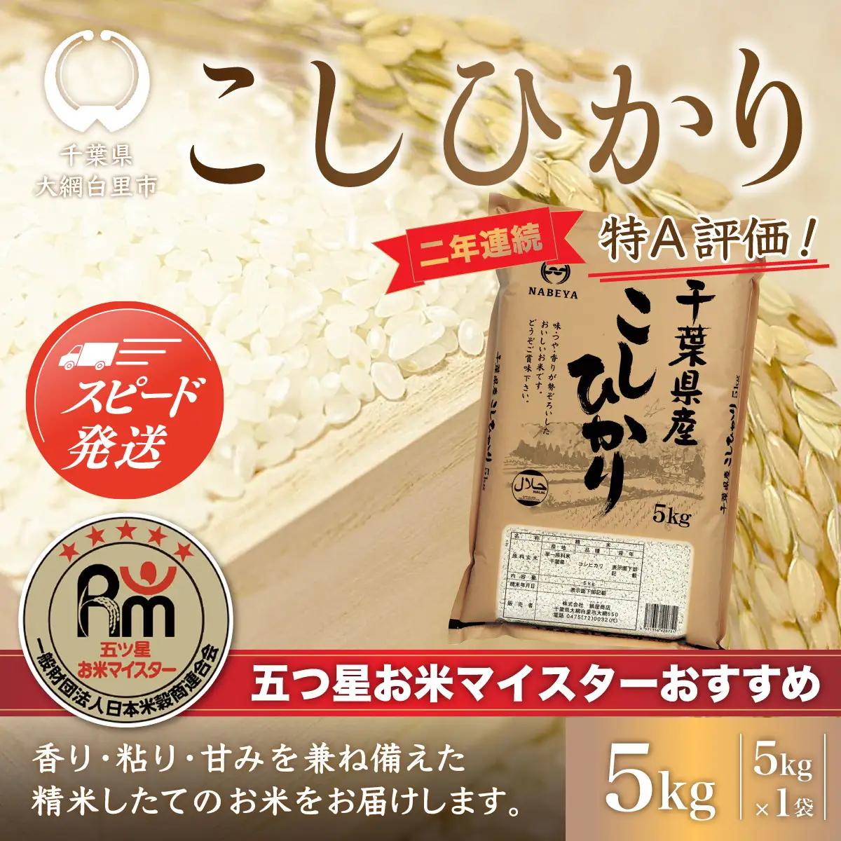 【最短2～7営業日出荷】令和7年産 2年連続特A評価!千葉県産コシヒカリ5kg（5kg×1袋） E006