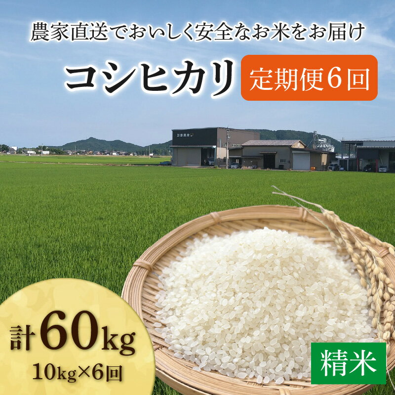 【ふるさと納税】【先行予約】【令和8年産 新米】《定期便6回》コシヒカリ 精米 10kg（5kg×2袋) JGAP認証米 / 米 10キロ 福井県産 ブランド米 一等米 ご飯 白米 お米 コメ 新鮮 小分け ※2026年10月上旬より順次発送