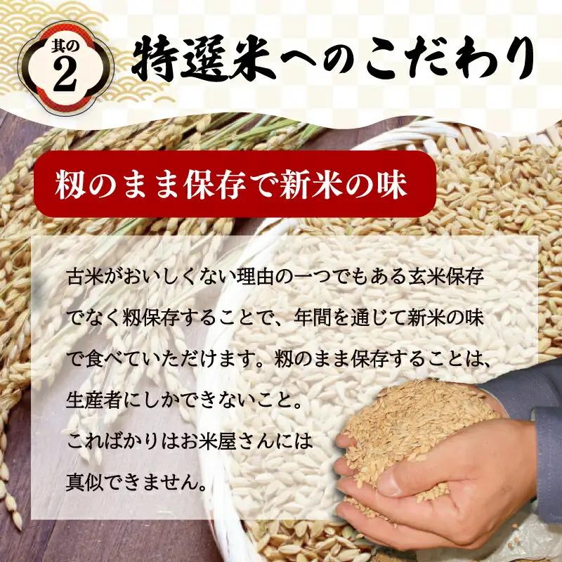 コシヒカリ 10kg×３回 【定期便全3回】 特選米コシヒカリ MK18