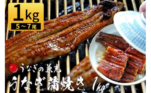 大満足1kg　愛知県三河一色産　うなぎ蒲焼き（5尾～7尾）・U040-30