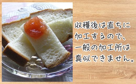 いちじくジャム 2種3本セット 各140g / いちじくジャム ブルーベリージャムジャム いちじく ブルーベリー フルーツジャム 自家栽培 果実 詰め合わせ 食べ比べ パン トースト 贈答 ギフト プ