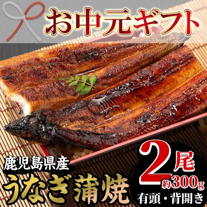 【お中元】国産 うなぎ蒲焼 2尾 約300g うなぎ【00-025-03-R8OC】