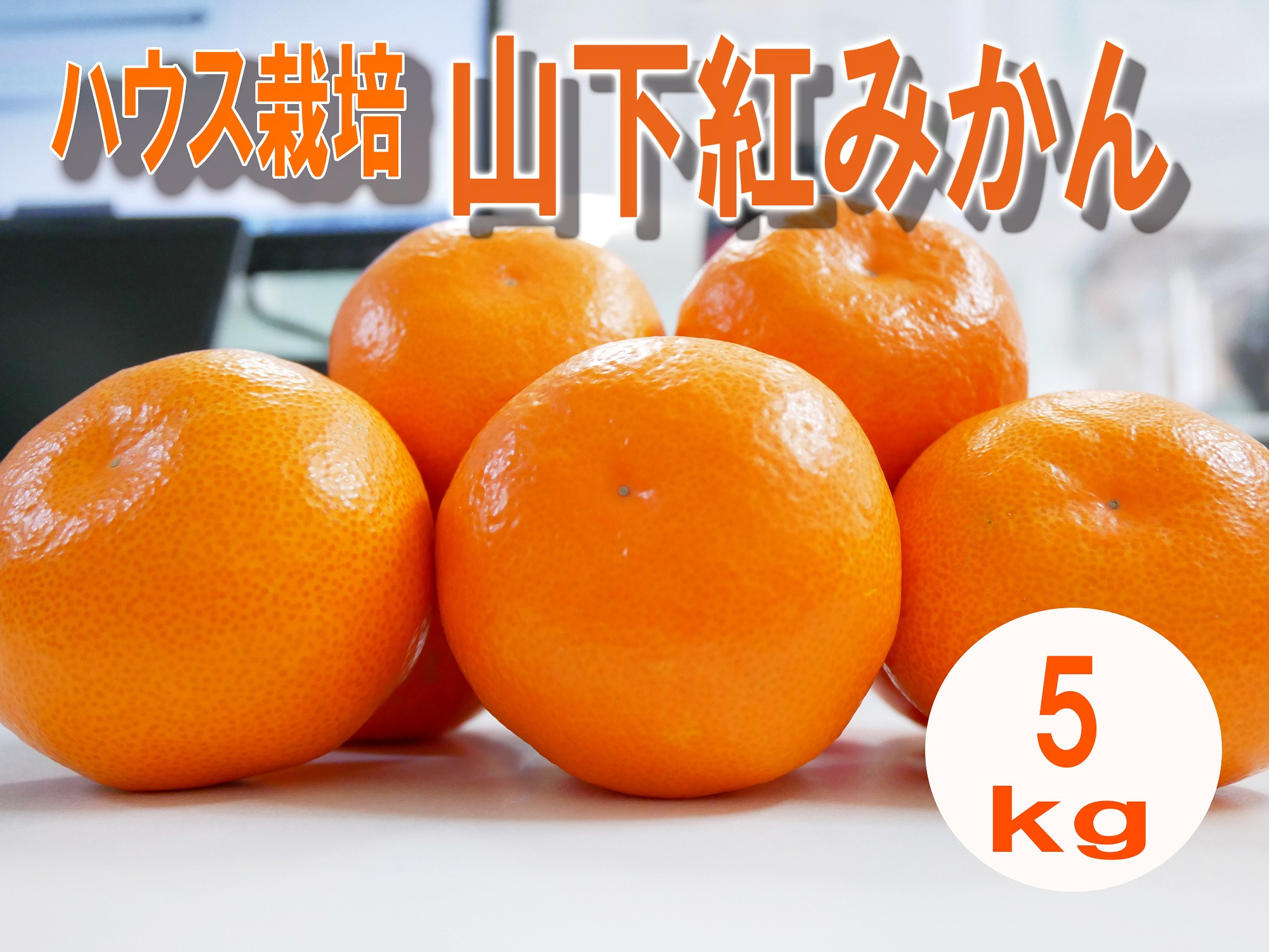 
            ベリー・レア・ファームのみかん『山下紅みかん』5.0㎏
          