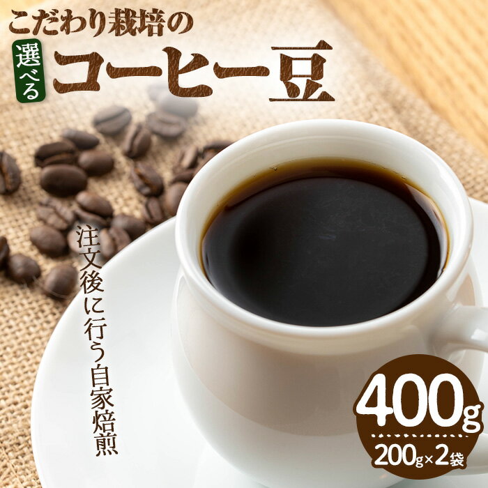 【ふるさと納税】＜種類が選べる＞こだわり栽培のコーヒー豆(計400g・200g×2袋) 焙煎 コーヒー 豆 珈琲 珈琲豆 ウガンダ ボリビア マラバー カモジャン ブレンド 深煎り 中煎り 浅煎り 【m70-01】【N BLOOD COFFEE ROASTERS】