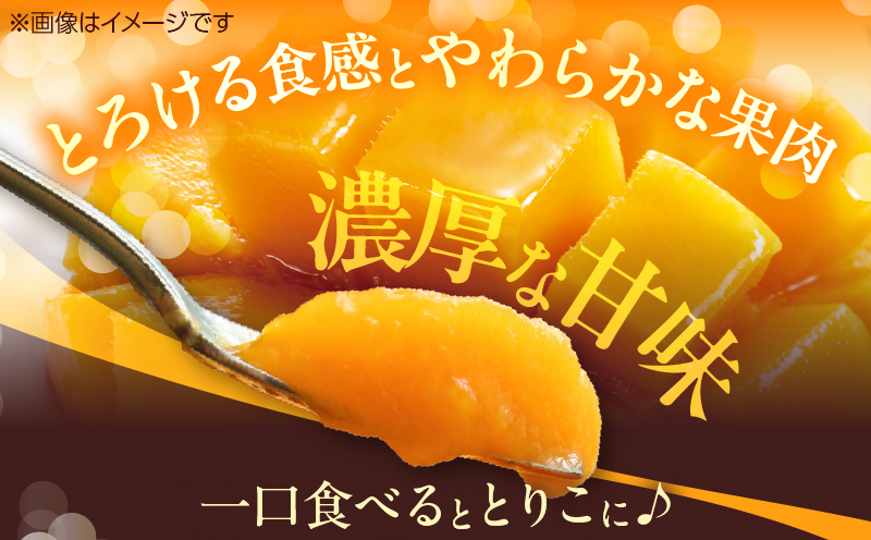 数量限定 完熟マンゴー 3L×2玉 フルーツ 果物 くだもの 国産 期間限定 先行予約 食品 デザート おやつ 人気 おすすめ おすそ分け ご褒美 お祝 お取り寄せ グルメ 産地直送 お土産 ギフト 