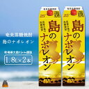 【ふるさと納税】奄美本格黒糖焼酎パックギフト　島のナポレオン（1.8L×2本）