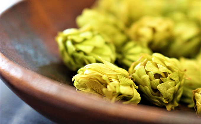 ◆12ヵ月連続お届け定期便◆7年ぶりにリニューアル！！サッポロクラシック 500ml×24本 お酒 ビール 缶ビール 晩酌 家飲み 宅飲み アルコール 素材 うまみ 爽快 飲み心地