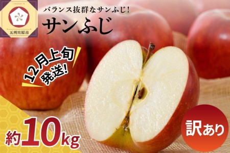 りんご　【2024年12月上旬発送】【訳あり】 りんご 10kg サンふじ 青森 不揃い サンふじりんご