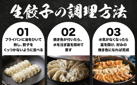 広島県産和牛ブレンド生餃子 ２袋（1袋14個入り） NPO法人nina神石高原《60日以内に出荷予定(土日祝除く) 》広島県 神石高原町 生餃子 中華 和牛 ブレンド 野菜