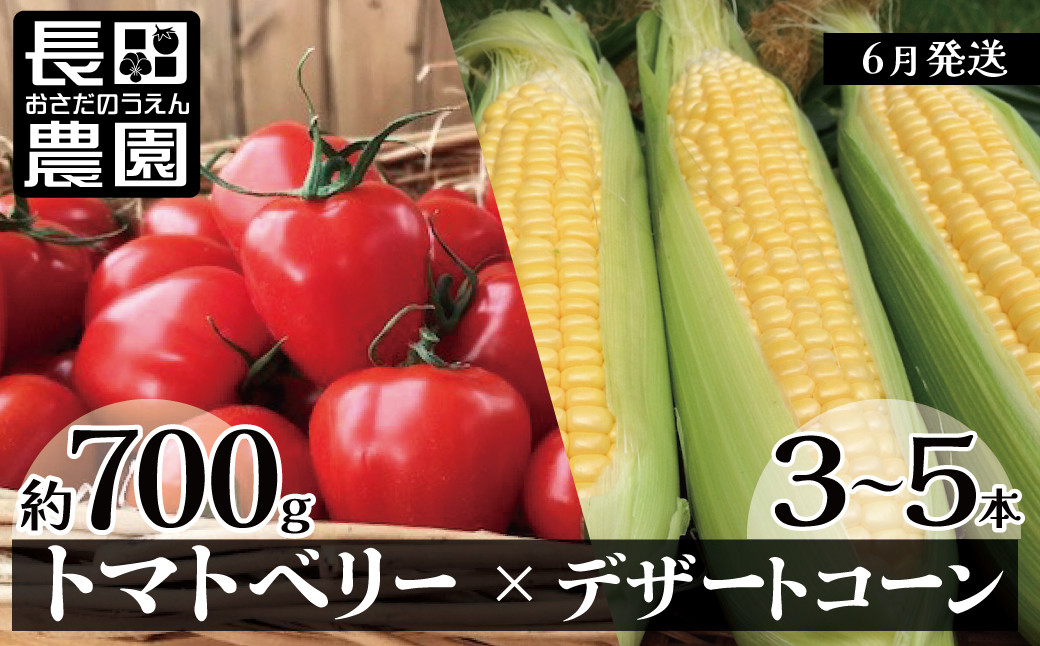 【2025年度予約分】あま～いトウモロコシ＆トマトベリー　長田農園しかできない夢の共演　【個数限定】 H004-160