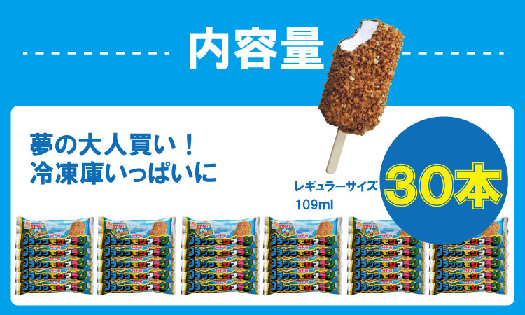 ブラックモンブラン30本セット 竹下製菓 アイス クリーム スィーツ あいす アイスバー スイーツ バニラ チョコ クランチ 佐賀 九州 限定 詰め合わせ アソート 地方 ご当地 おやつ　お取り寄せ 