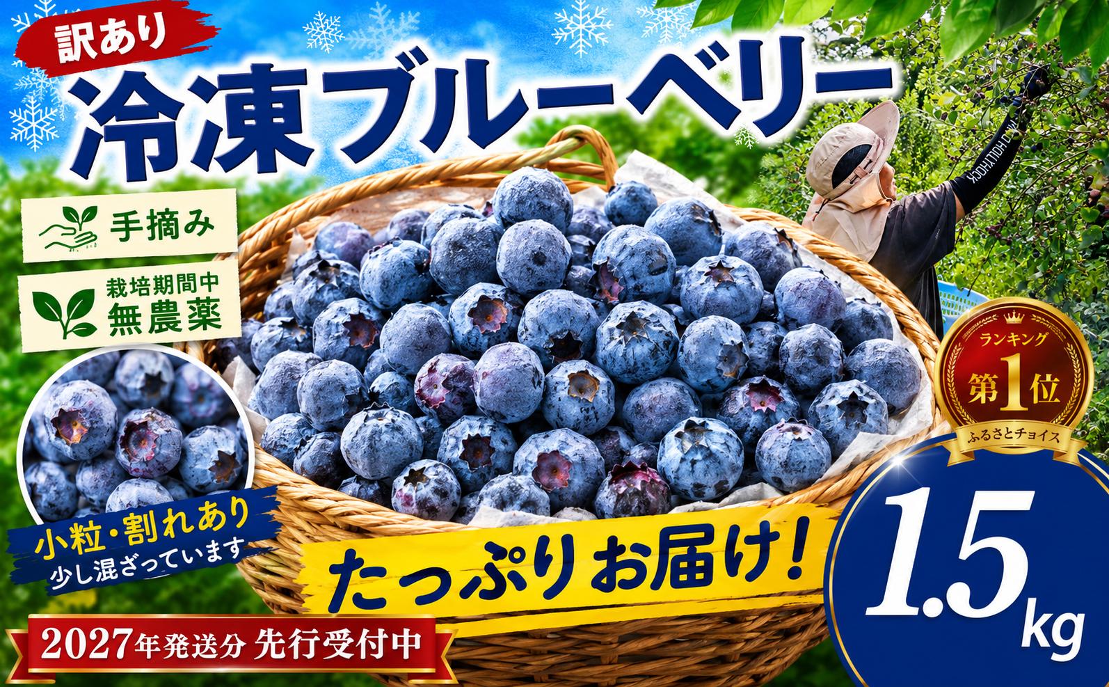 
                  冷凍ブルーベリー 1.5kg 訳あり栽培期間中 無農薬【来季 2027年7月以降順次発送】先行予約 冷凍フルーツ ブルーベリー ぶるーべりー ブルーべりー ぶるーベリー 冷凍 新鮮 国産 フルーツ ふるーつ 果物 冷凍果物 冷凍くだもの くだもの スムージー ジャム に おすすめ ビタミン 食物繊維 ミネラル 訳アリ わけあり 訳有 訳有り 冷凍フルーツ 冷凍ふるーつ 千葉県 香取市 SBF001
                