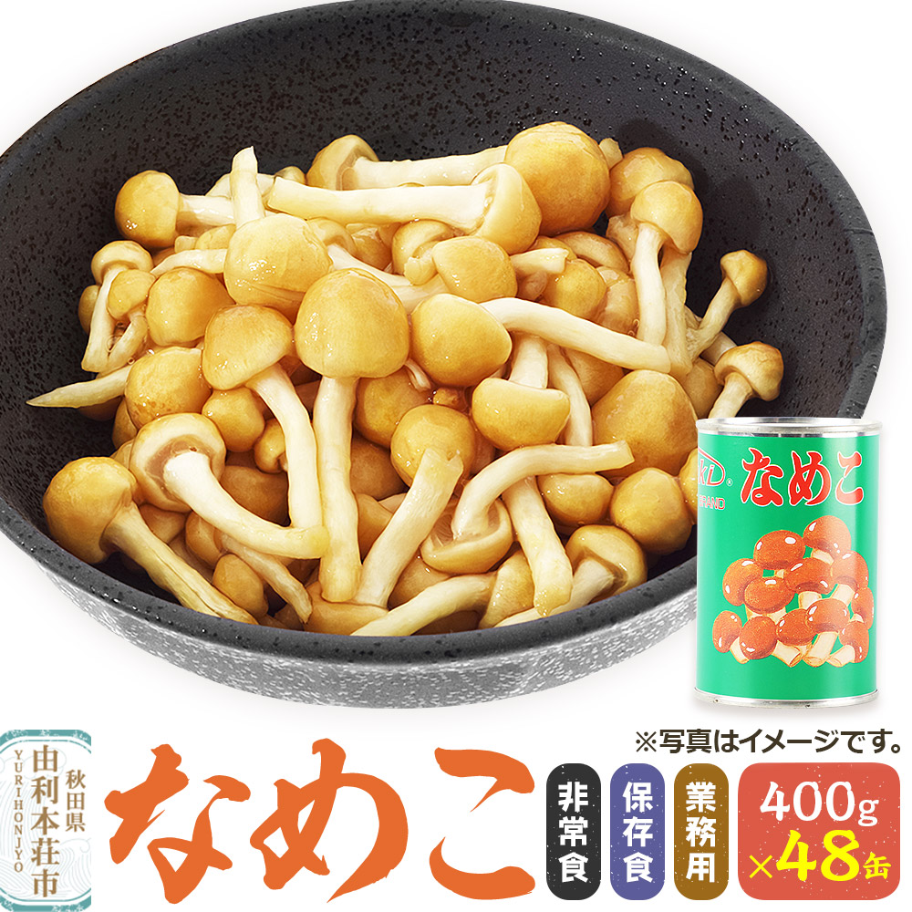 なめこ 400g(固形量200g)×48缶 缶詰 国産 非常食 保存食 業務用