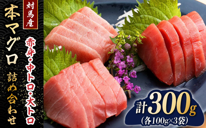 対馬産 本マグロ 詰め合わせ 《 対馬市 》【 桐谷商店 】 トロの華 対馬 新鮮 マグロ 大トロ 鮪 刺身 鮮度抜群 [WAQ003]