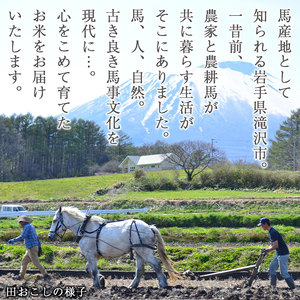 【 2027年 1月中旬より発送】 岩手県産 馬耕米 あきたこまち 玄米 10kg 【スタディア】 お米 米 こめ コメ 馬ふん堆肥 使用 ご飯 ごはん ライス おにぎり 弁当 単一原料米 10キロ 
