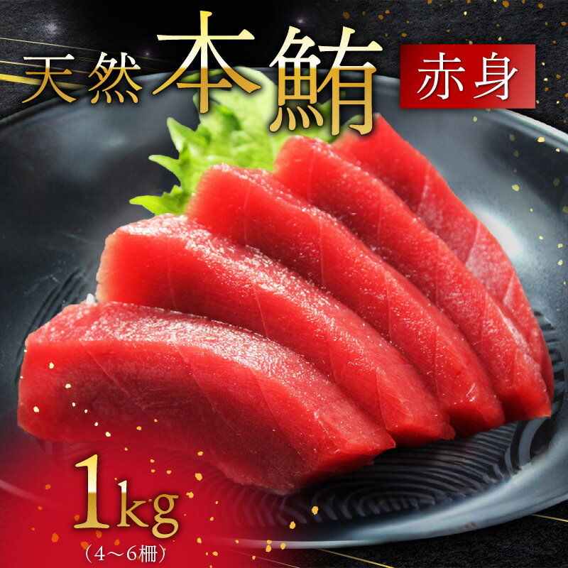 【ふるさと納税】 天然本鮪 赤身 たっぷり 1kg まぐろ マグロ 鮪 三崎 三崎港 海鮮 魚 魚介 母の日 父の日 敬老の日 オーシャン・グロウ 神奈川 三浦市 おすすめ ランキング プレゼント ギフト