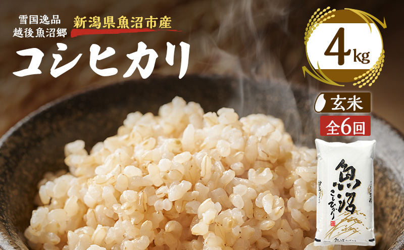 【定期便：雪国逸品 玄米4kg×6ヶ月】越後魚沼郷　魚沼産コシヒカリ
