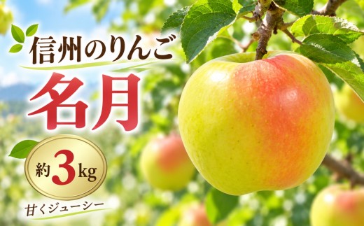 りんご 令和8年11月上旬発送 信州のりんご 名月 約3kg | りんご 名月 長野県 伊那市【012-92】