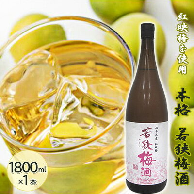 【ふるさと納税】リキュール 福井県産 1800ml 1本 紅映梅を使用した本格梅酒 若狭梅酒 お酒 洋酒 希少 ロック ストレート アルコール度数12 オーソドックスタイプ べにさし 福井県若狭町