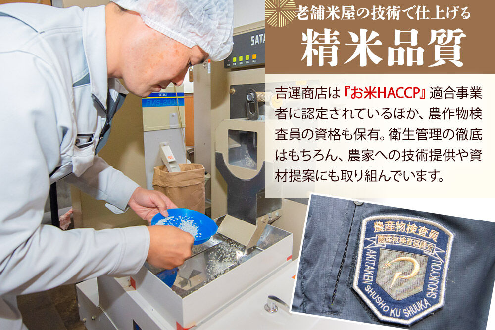 【定期便7ヶ月】 あきたこまち ＜令和8年産 新米受付＞ 『なまはげライス』 無洗米 10kg（5kg×2袋） 吉運商店 [新米 先行受付 米 こめ コメ 無洗米 あきたこまち 秋田県 男鹿市]
