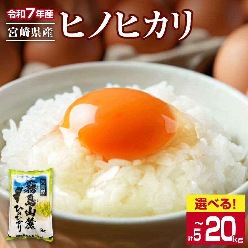 【ふるさと納税】≪内容量が選べる≫ 令和7年産 ヒノヒカリ 期間限定 お米 ご飯 ライス 国産 宮崎県産 人気 食品 精米 白米 ひのひかり 有洗米 おにぎり お弁当 炊き込みご飯 雑炊 BBQ キャンプ ギフト 贈り物 贈答 お取り寄せ 産地直送 小分け 宮崎県 日南市 送料無料