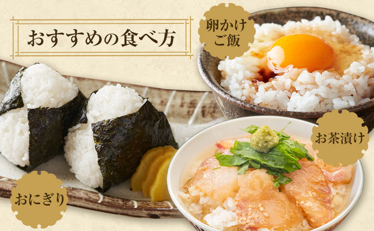 令和7年産 米 くまさんの輝き 白米 10kg 鶴地区龍の里ふるさと会《10月上旬-11月上旬頃出荷》熊本県 天草 苓北町 鶴 地区 龍 の里 国産 九州 熊本 名水 百選 10キロ 送料無料---r