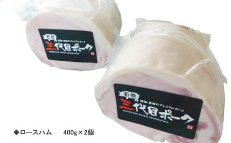 【先行予約】 豚肉 ハム 石鎚三代目ポーク焼肉用とロースハムセット ≪旬にお届け品≫【期間限定】【配送期間：12月から】