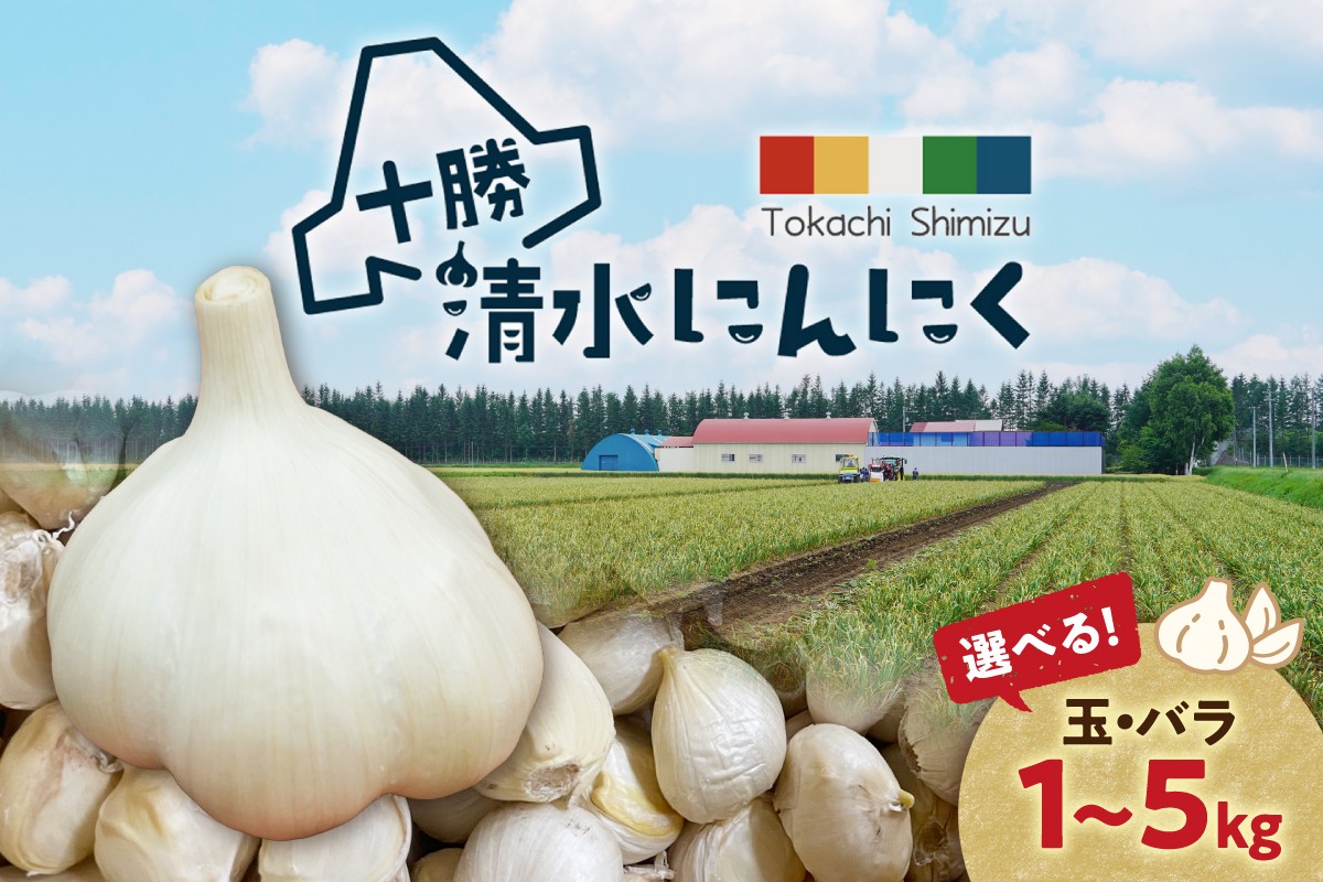 
            【選べる玉orバラ＋内容量！】北海道産 十勝育ちのにんにく 無添加 国産 にんにく ニンニク ガーリック_S021
          