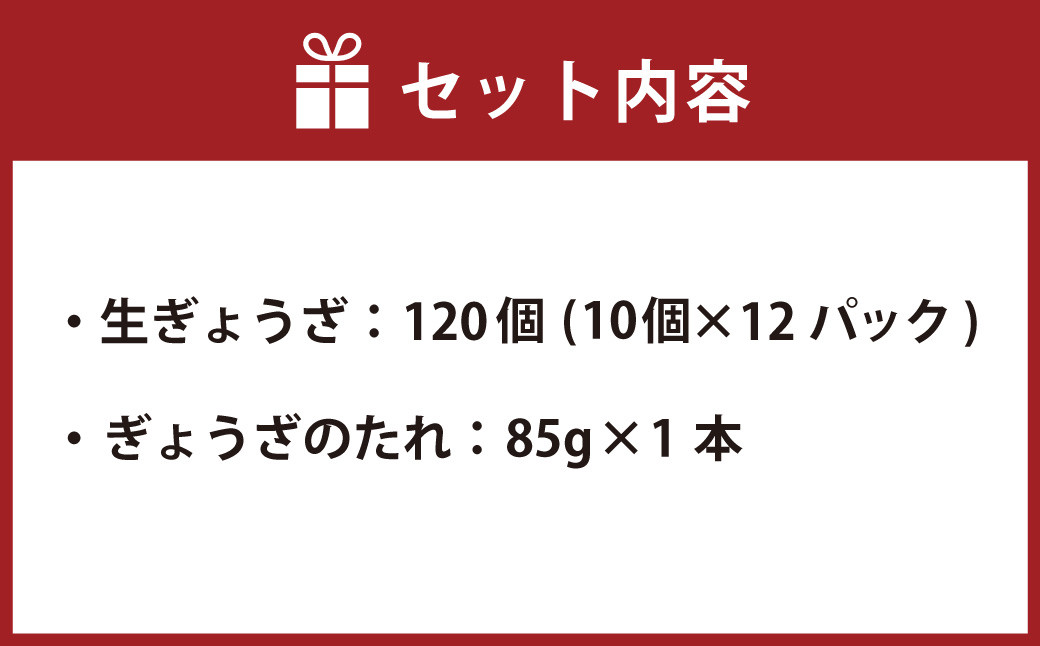 鹿児島 生ぎょうざ 120個セット(10個×12パック) 餃子のたれ付き