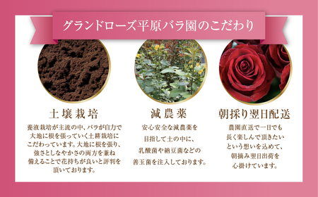 バラ 花束 大輪 赤 30本 (40cm) ブーケ 薔薇の花束