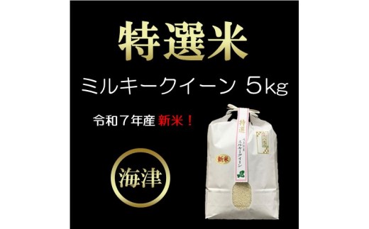 
                  【期間限定】新米！特選米ミルキークイーン（5kg） お米 5kg 
                