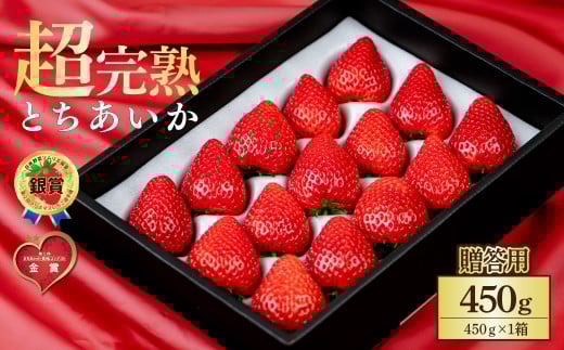 【先行受付：2月以降発送】いちご 鈴木ファームの完熟＆朝どれ とちあいか ギフト450g×1箱 | いちご イチゴ 苺 とちあいか 完熟 甘い あまい 果物 フルーツ 贈答用 ギフト プレゼント 鈴木ファーム 栃木県 茂木町