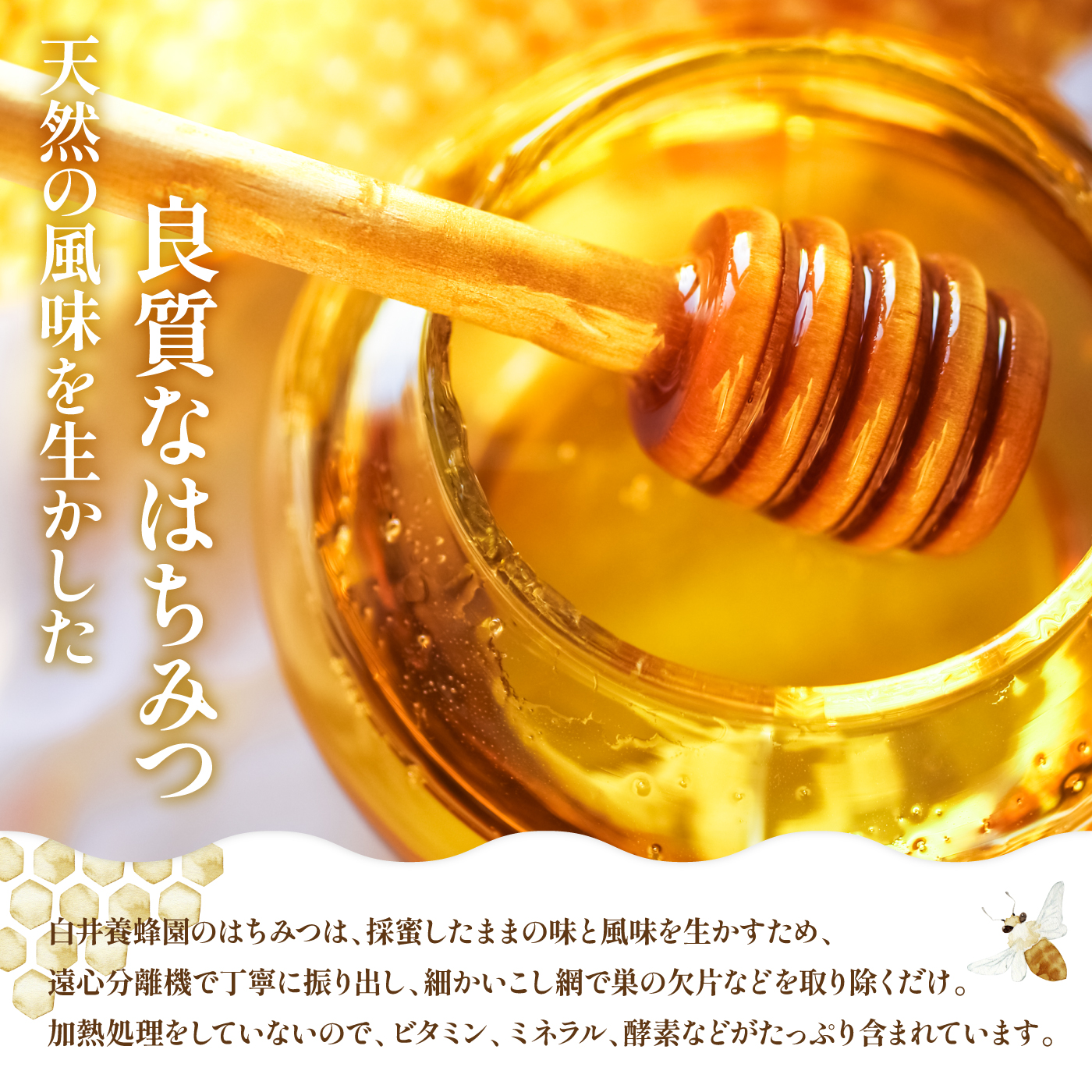 純粋はちみつ（あかしあ）600g《令和７年10月頃より発送予定》【0106301】