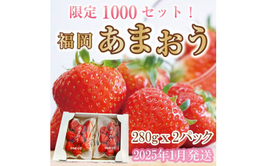 ☆2025年1月より順次発送☆限定1000セット！あまおう280g×2パック 計560g[a0489]株式会社ONEGO※配送不可：北海道・沖縄・離島【返礼品】添田町 ふるさと納税