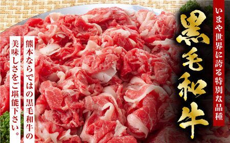 【12回定期便】熊本県産 黒毛和牛 × あか牛 切り落とし 食べ比べ 約 1kg【有限会社 九州食肉産業】[ZDQ139]