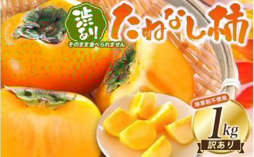 【訳あり・ご家庭用】たねなし柿「渋あり」訳あり 約1kg【9月下旬～11月上旬頃順次発送】