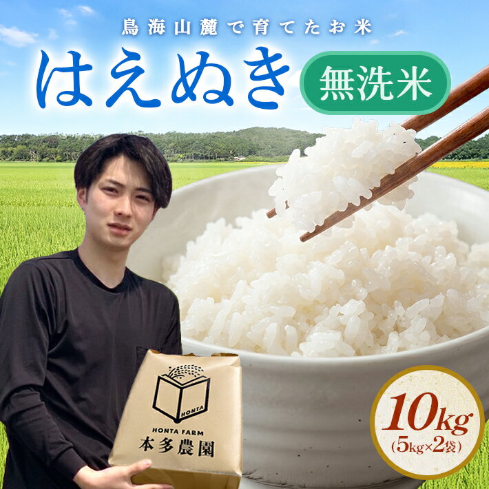【ふるさと納税】≪新米予約≫ 無洗米 はえぬき 計10kg 5kg×2袋 令和8年産米 山形県酒田産 ご希望の時期頃お届け 東北 山形県 酒田市 庄内地方 庄内平野 米 お米 白米 ブランド米 ご飯 ごはん 農家直送 産地直送 本多農園