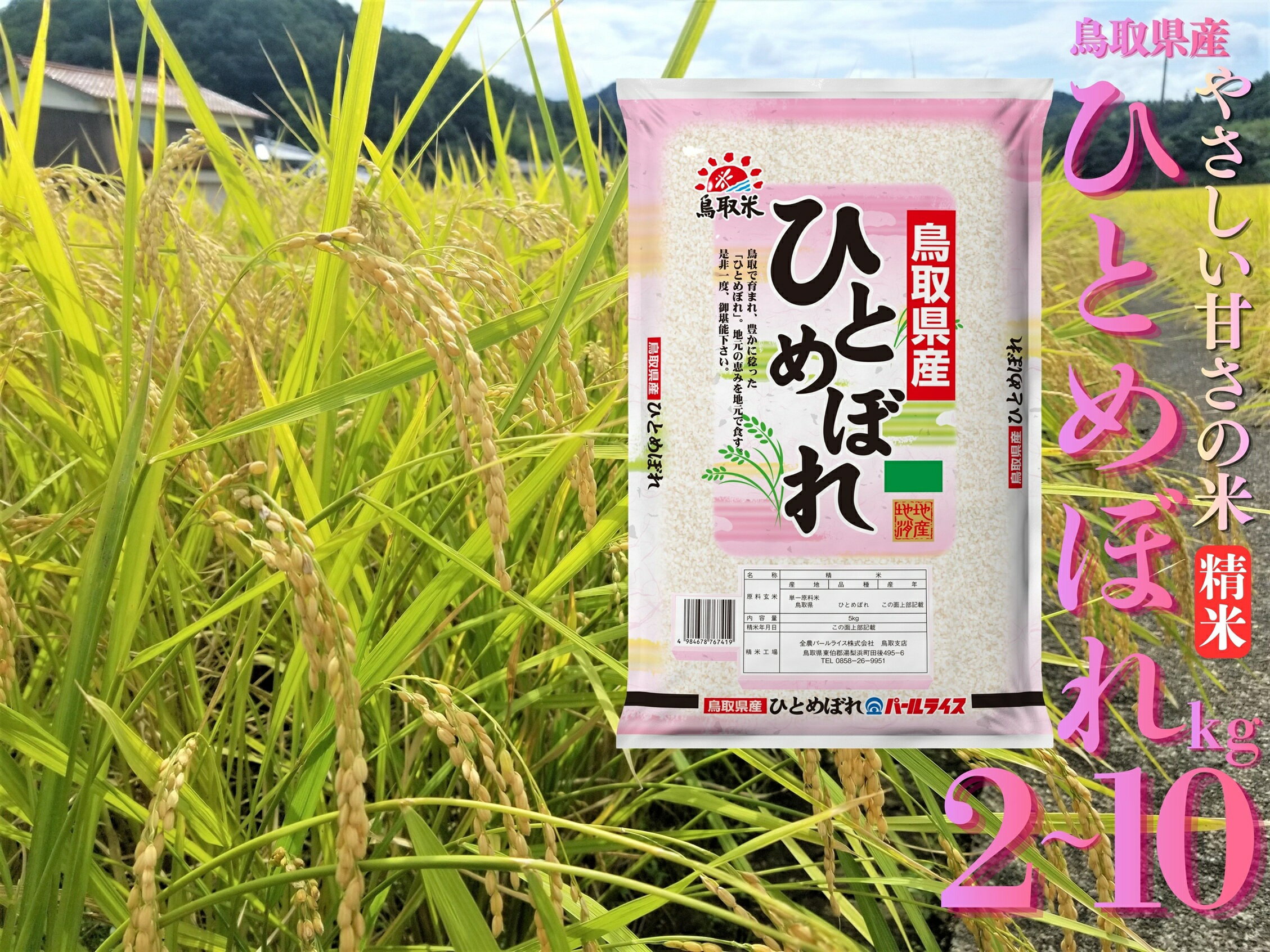 【ふるさと納税】ひとめぼれ 精米 10kg 2kg 5kg 令和7年産 鳥取県 産 | 送料無料 お米 米 白米 ご飯 銘柄米