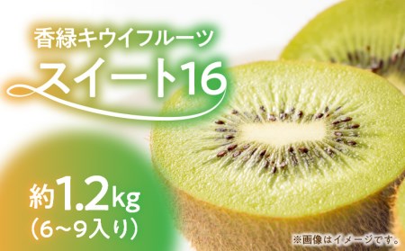 【ふるさと納税】【配送不可地域：北海道・沖縄県・離島】香緑キウイ 期間限定 キウイ 約 1.2kg 認定品 最上級品 スイート16 キウイフルーツ 1箱 三豊市 お取り寄せ お取り寄せフルーツ 食品 食べ物 果物 フルーツ デザート おやつ 朝食 国産 香川産 送料無料  秋 旬