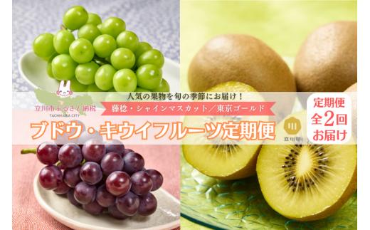 ブドウ・キウイフルーツ定期便（2ヶ月：全2回）