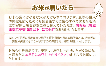 【9月発送】令和7年産 新米こしひかり 『この華米』10kg ＜2.9-5＞