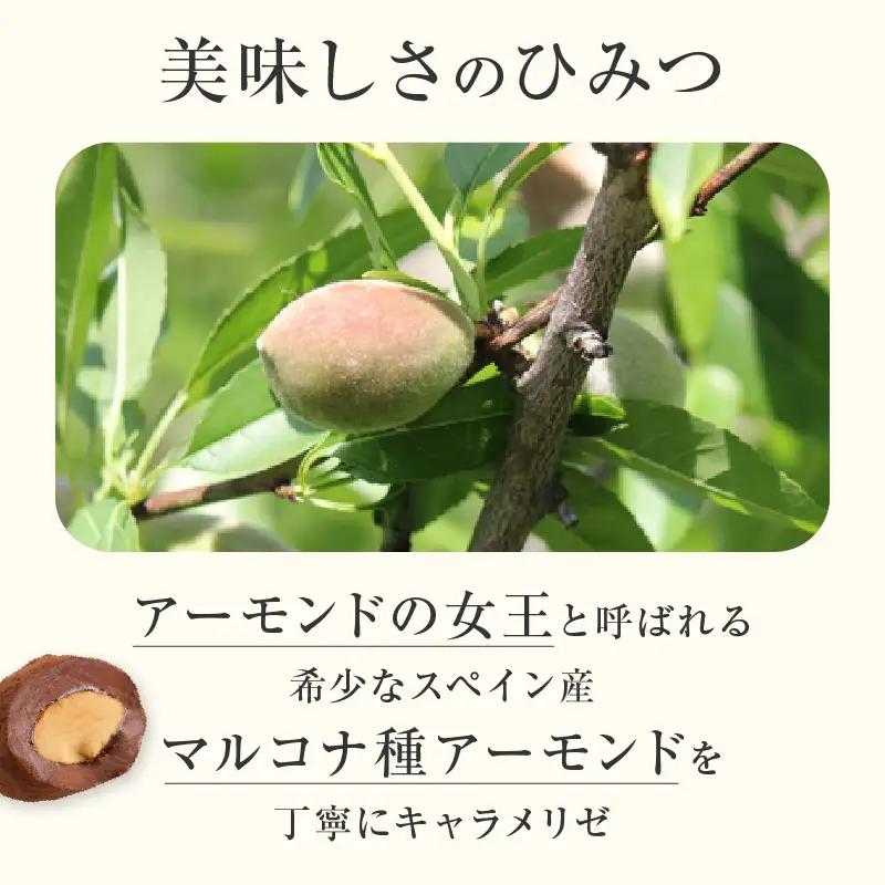 パティスリーショコラトリーレシィ アマンドショコラ チョコレート スイーツ 洋菓子 焼き菓子 詰め合わせ クッキー ギフト 贈り物_0021-003-se5